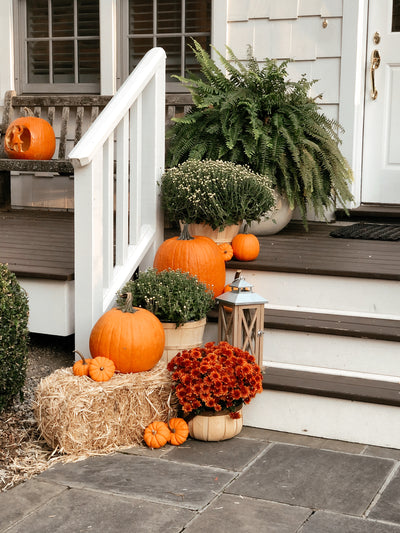 Tried & True Traditional Fall Porch